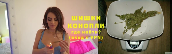 ешки Алзамай