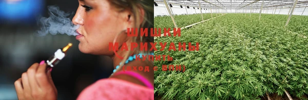 каннабис Абдулино